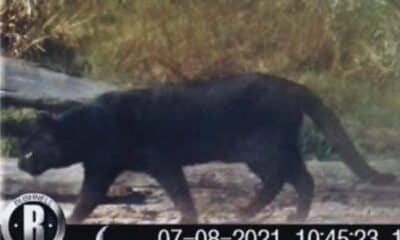 4788238 7c20b2e9310f936