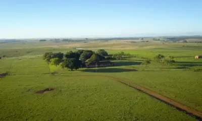 rui goulart fazenda cinamomo d6ccmgicz8q 1111x625 0m27s