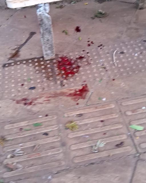 369944047 733100061957510 8036844967224876792 n