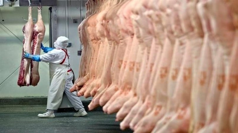 carne suina frigorífico divulgacao