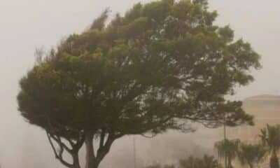 portal plural ciclone extratropical