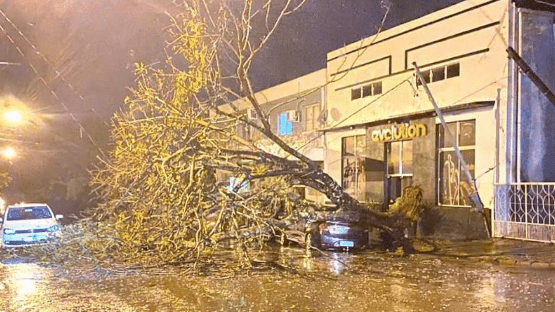 Temporal atinge cidade de São Luiz Gonzaga: Árvores derrubadas e falta de energia na cidade