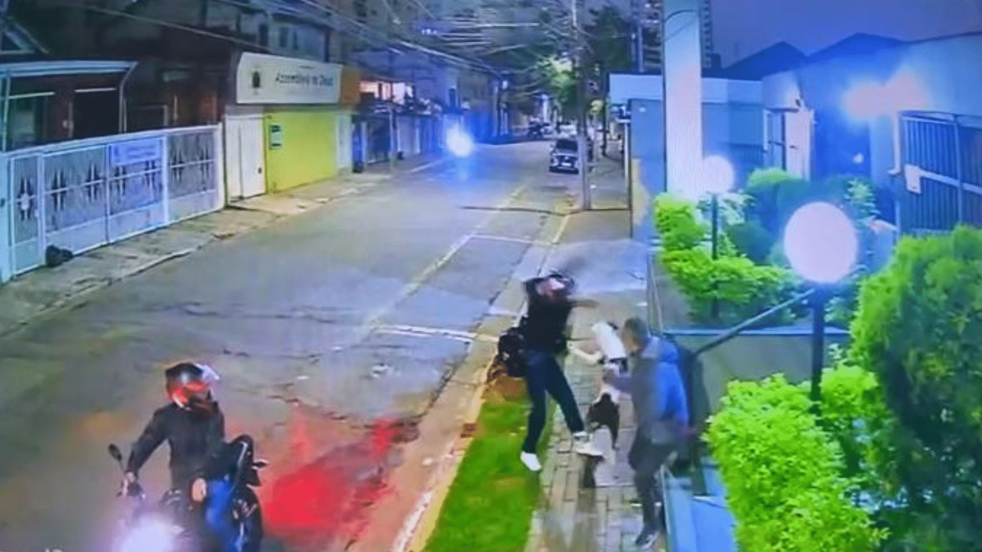 Cão salva tutor durante tentativa de assalto em Santo André;