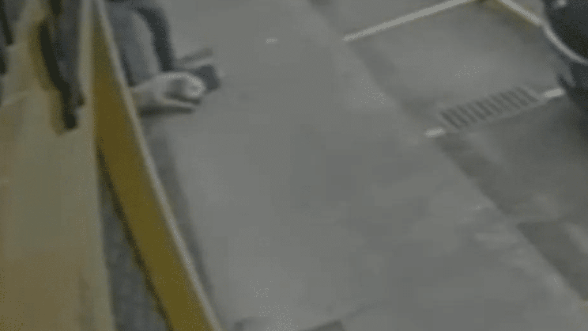 cachorro paraplégico é abandonado em frente a pet shop no rs e acaba morrendo (1)