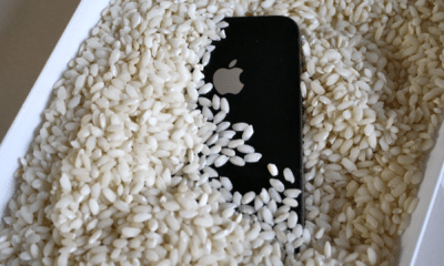 Celular & Arroz