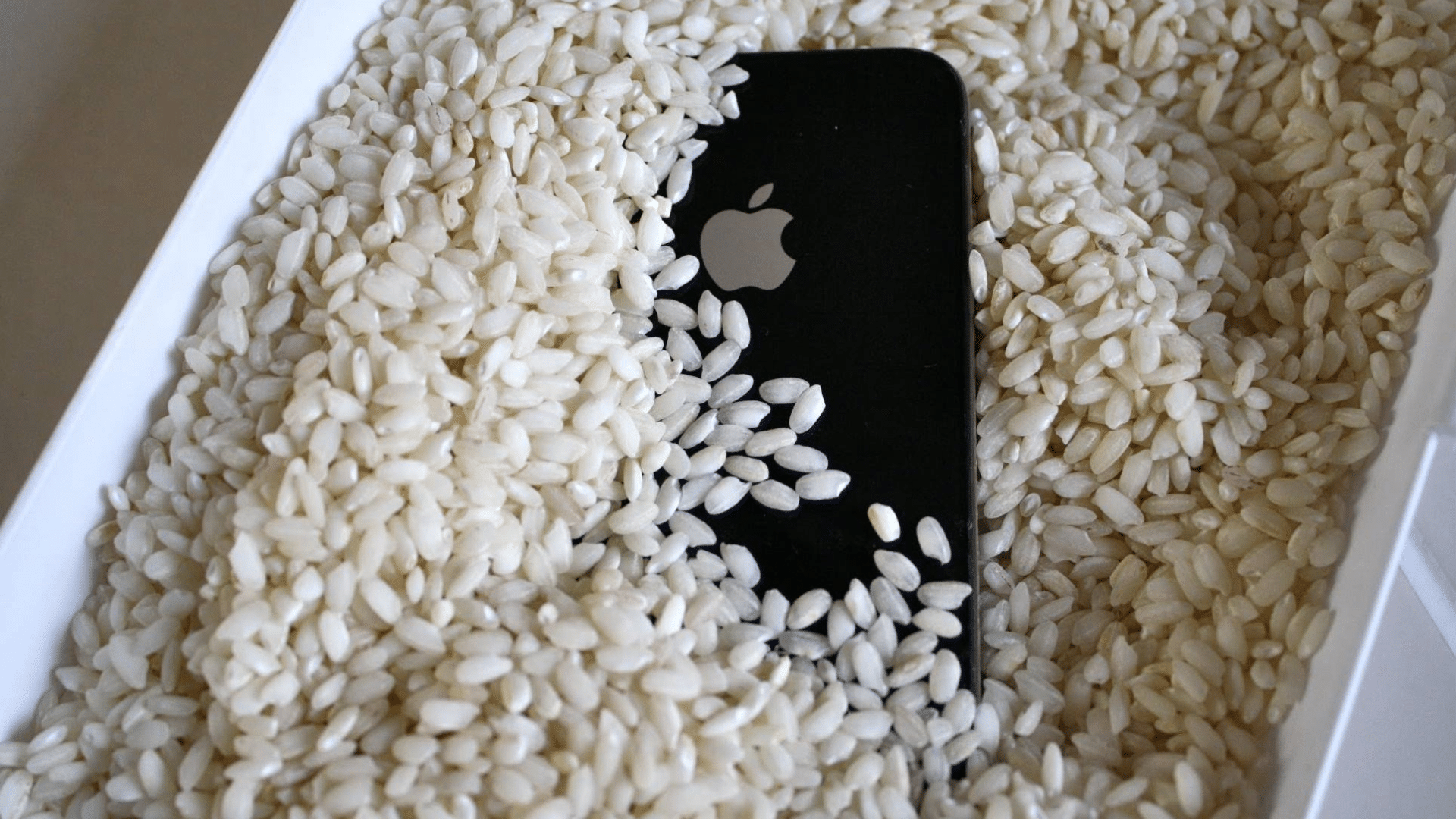 Celular & Arroz