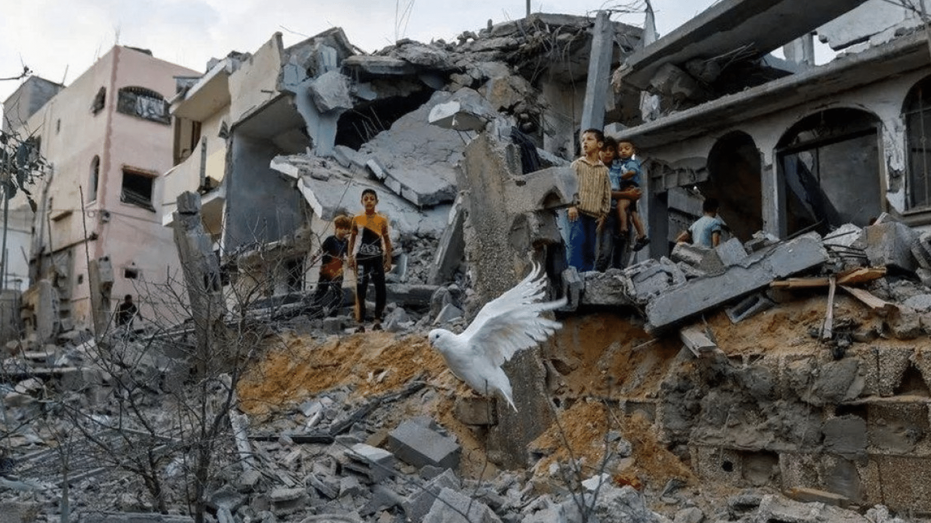 moradores de gaza não confiam no hamas, mostra pesquisa