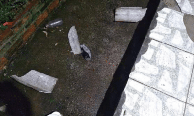 Temporal causa destelhamento e quedas de árvores em Santa Rosa