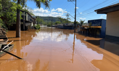 padrÃo site roberta (38)