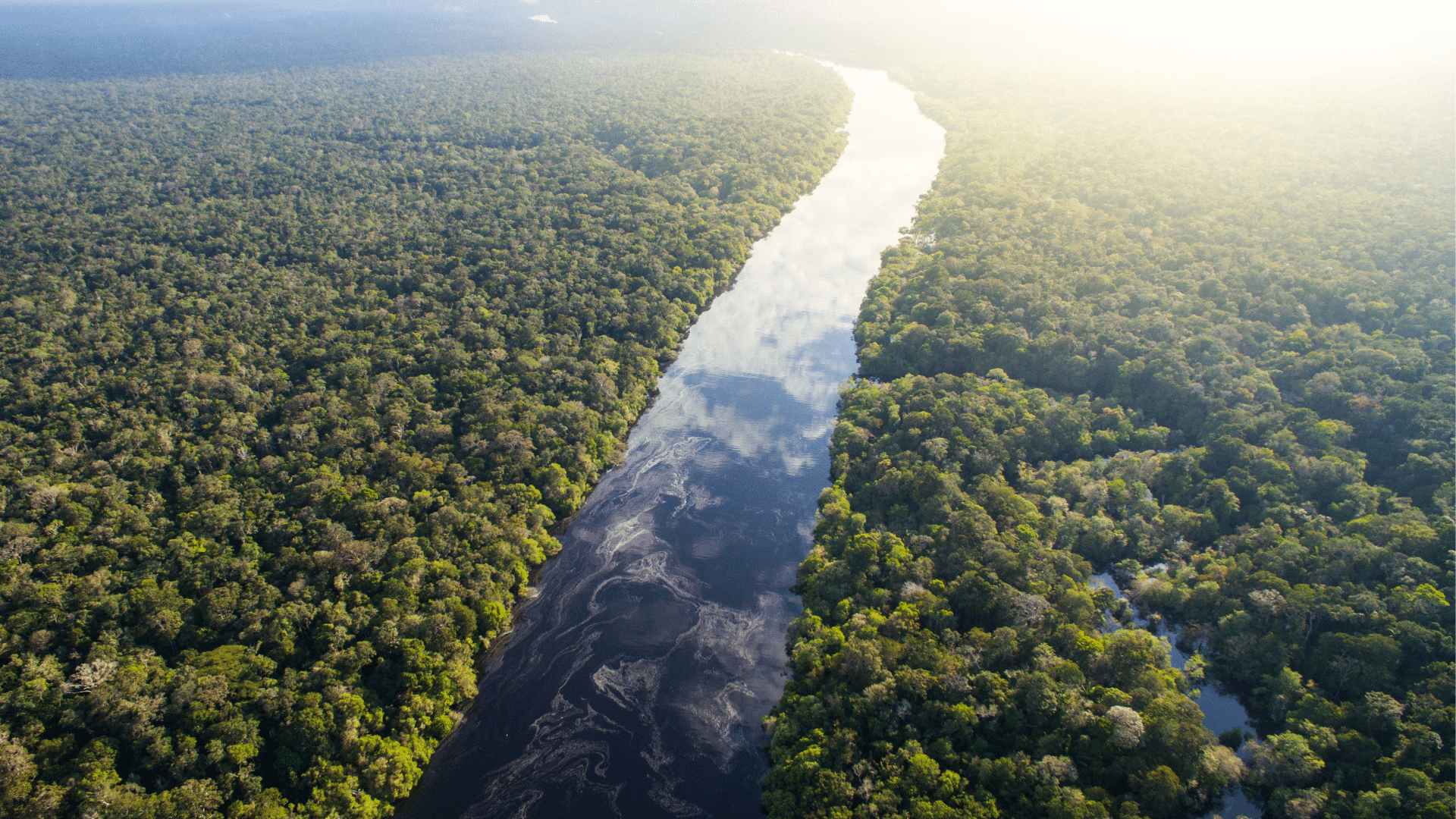 O rio atingiu a marca 13,59metros e a última vez em que atingiu uma vazante tão baixa foi em 2010. O Rio Negro registrou, nesta segunda-feira (16), o nível mais baixo de toda a sua história contabilizada.