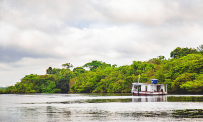Após maior seca em 120 anos, rio negro volta a subir no amazonas