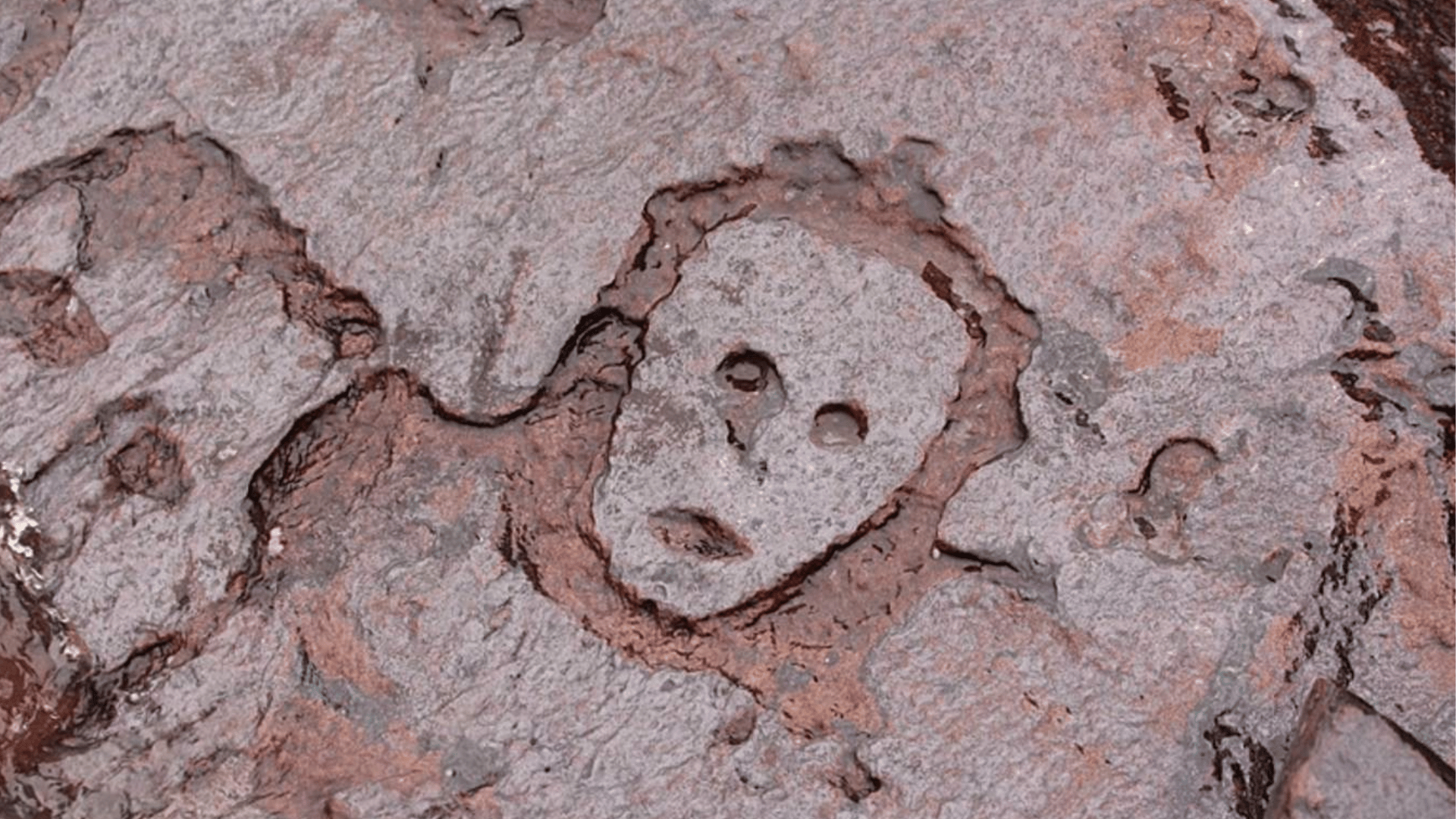 Gravuras rupestres reaparecem em meio à seca histórica em Manaus