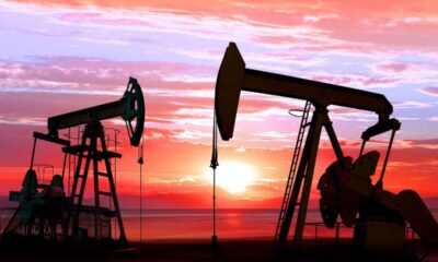 portal plural petroleo