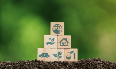 portal plural socioambiental