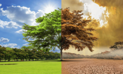 portal plural aquecimento