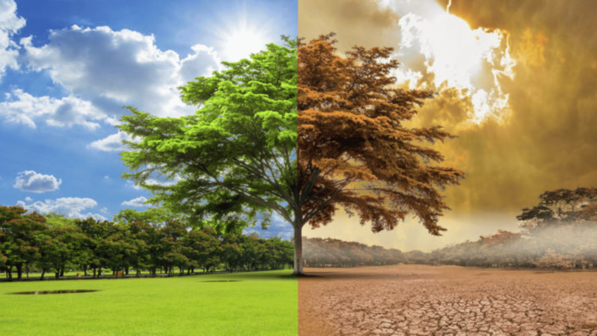 portal plural aquecimento