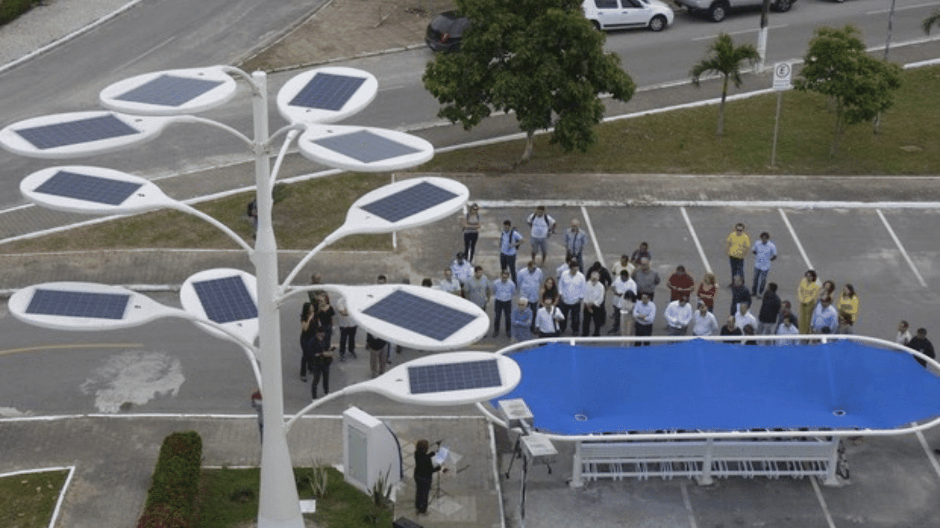 portal plural arvore