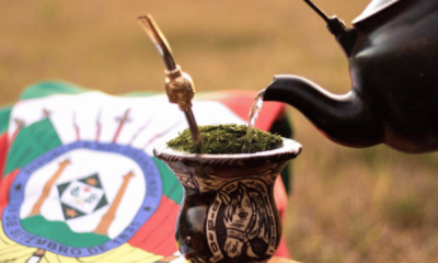 portal plural chimas