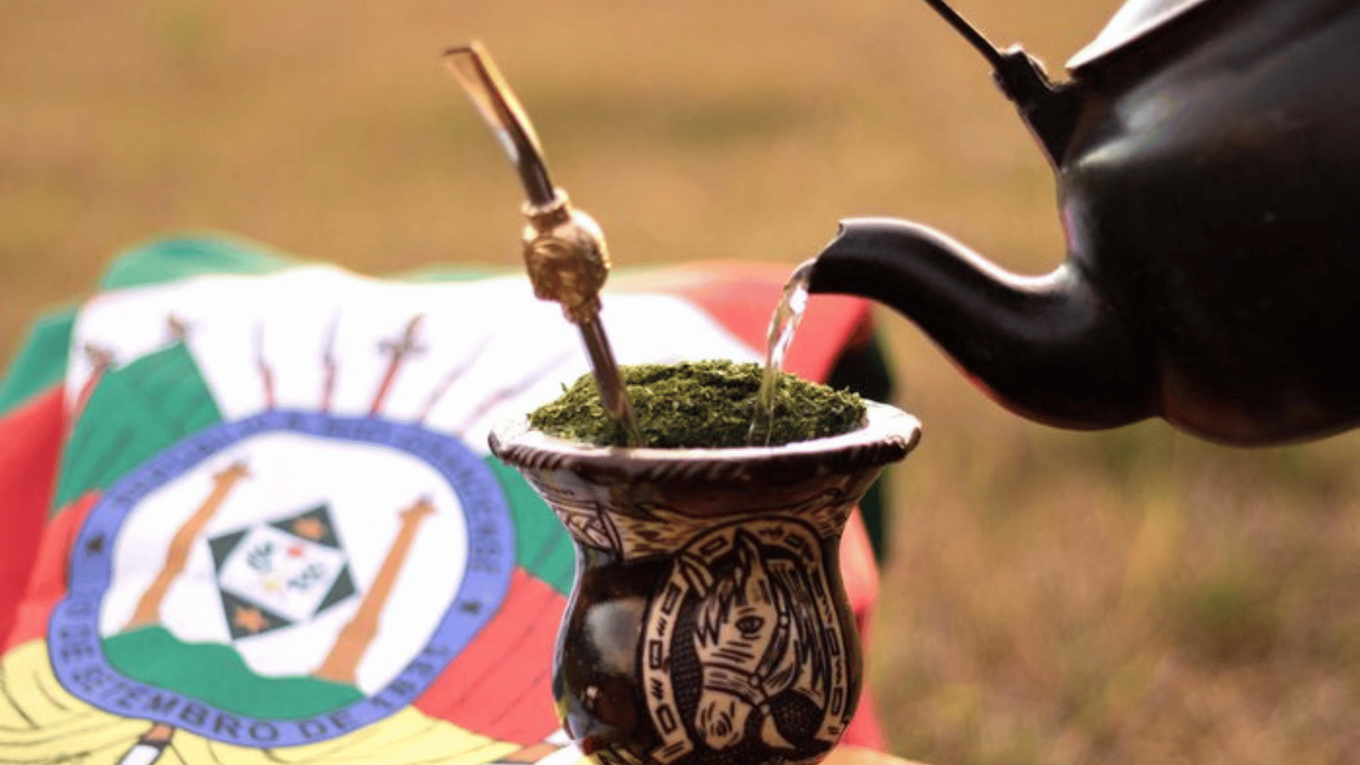 portal plural chimas