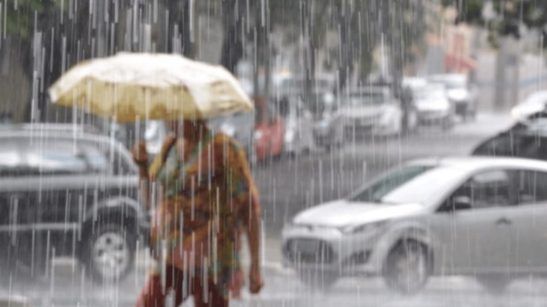 portal plural chuvas el ninõ