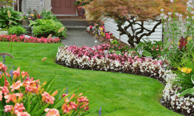 Concurso de jardins santo cristo