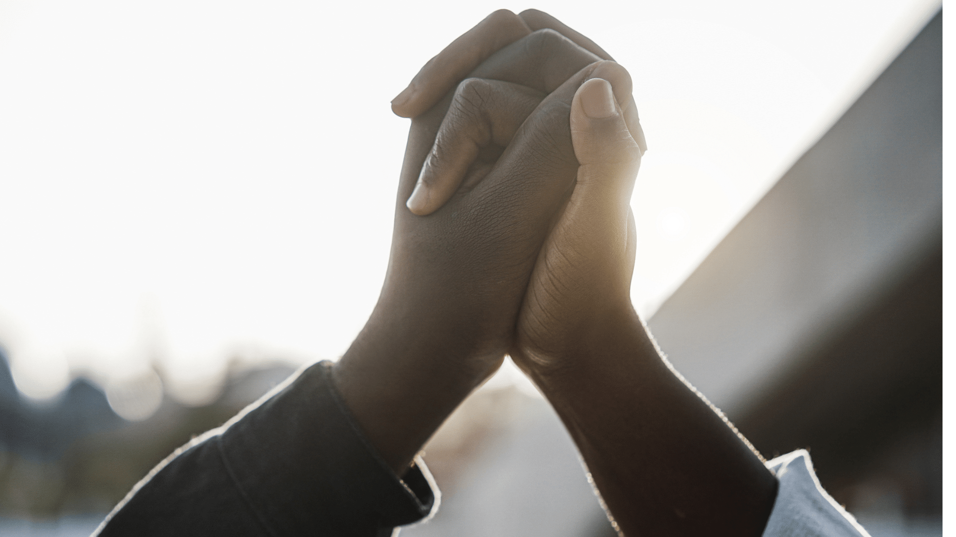 Dia da consciência negra