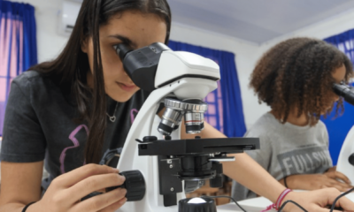 portal plural educação