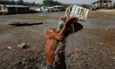 portal plural el nino