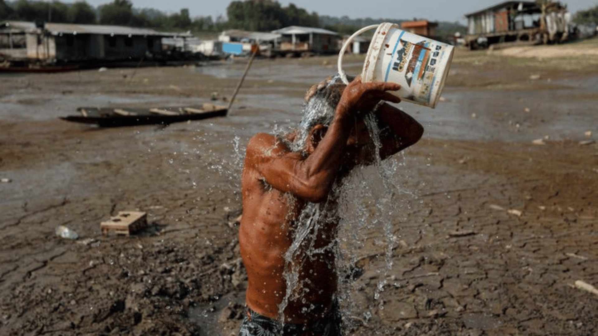 portal plural el nino