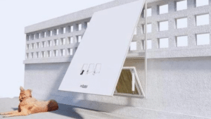 portal plural estudantes criam outdoor que se tranforma em tenda para proteger cães de rua do calor (1)