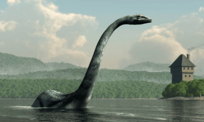 portal plural lago ness