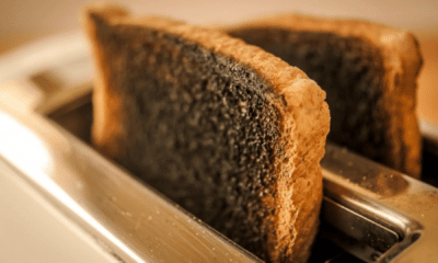 portal plural queimada