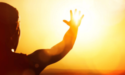 portal plural verão