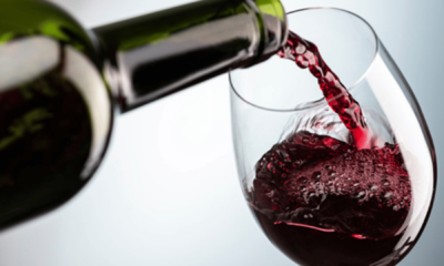 portal plural vinho tinto