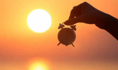 portal plural verão