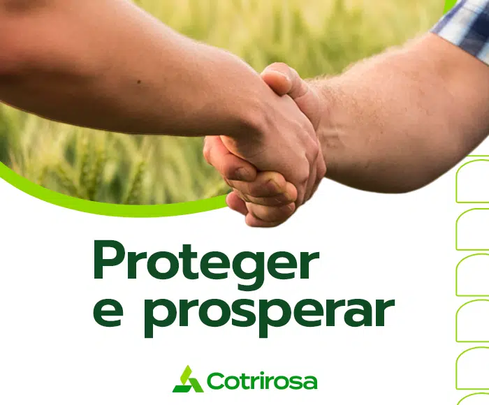 Portal_Plural_Cotrirosa Cotrirosa
