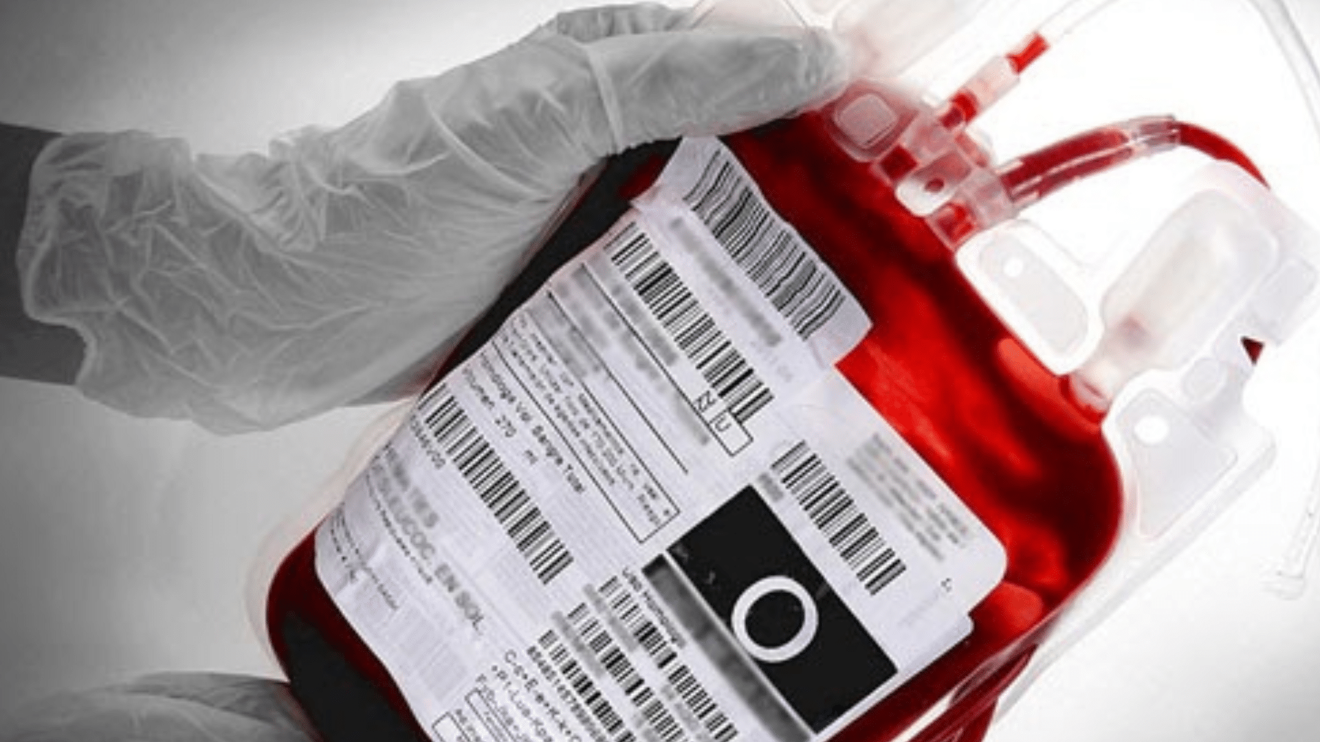 tjes testemunha de jeová pode negar transfusão por crença religiosa