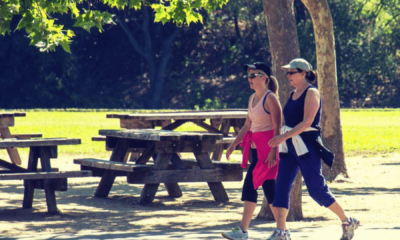 portal plural caminhar