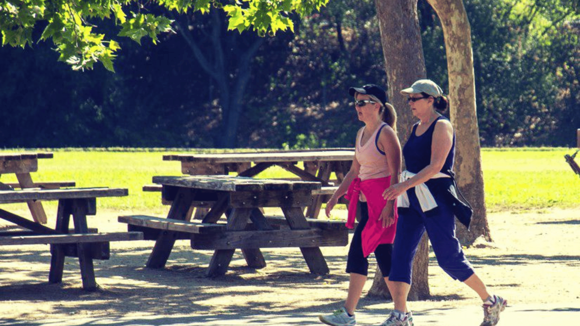 portal plural caminhar