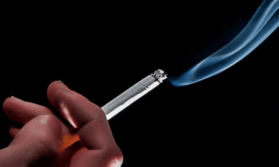 portal plural cigarro