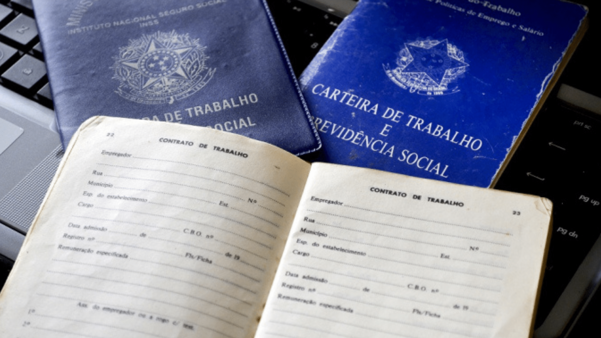 portal plural desemprego