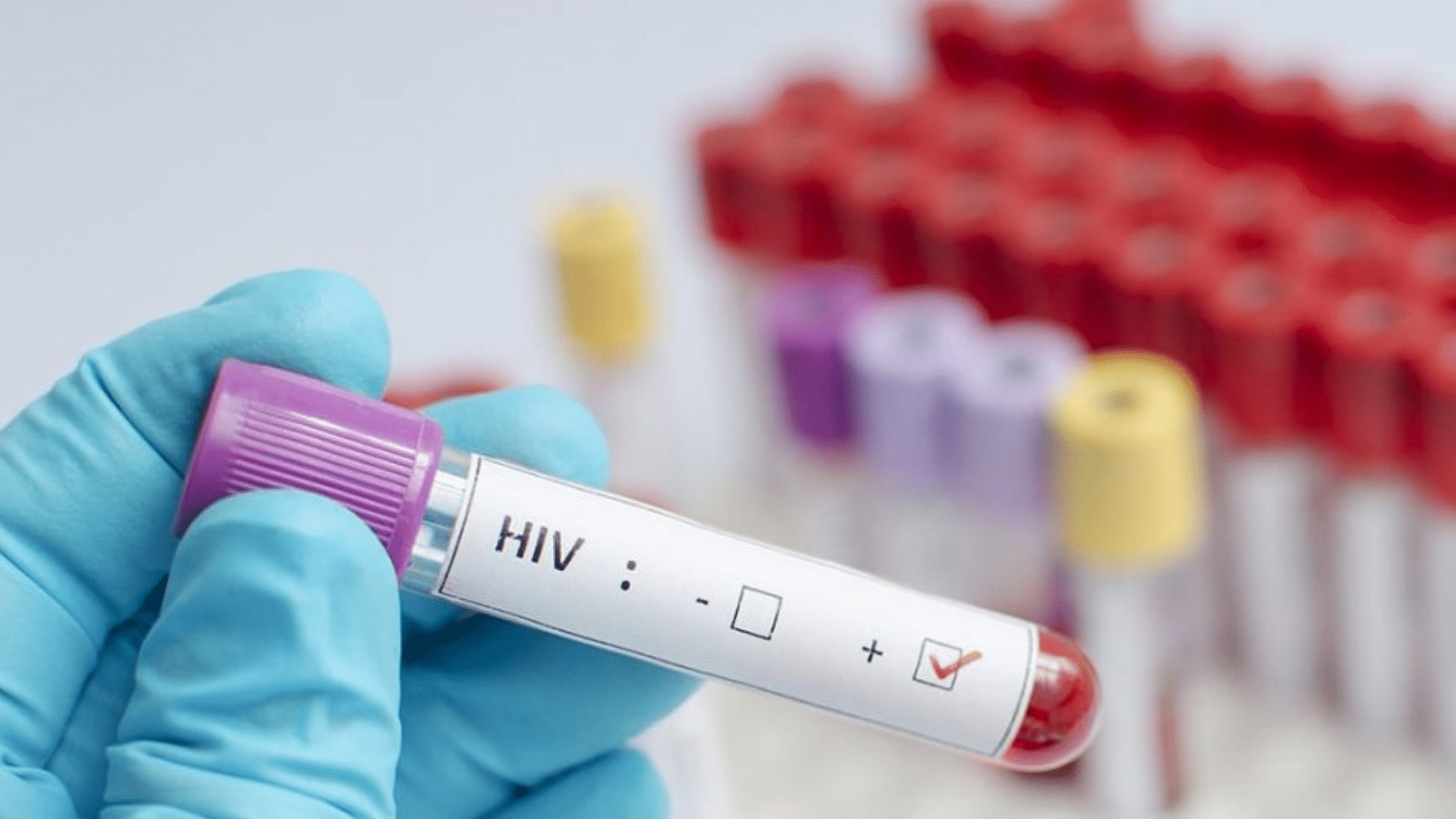 portal plural hiv porto alegre