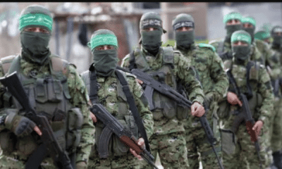 portal plural hammas