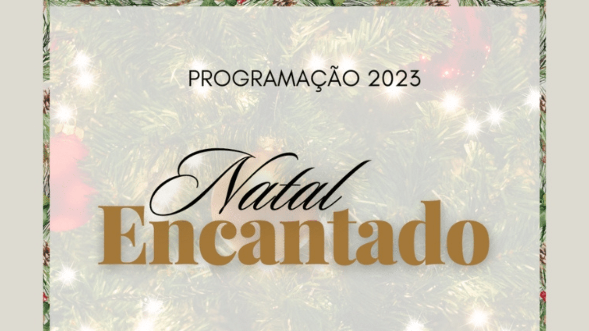 portal plural natal santa rosa