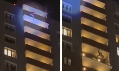 portal plural papai noel caiu