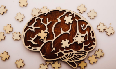 portal plural parkin