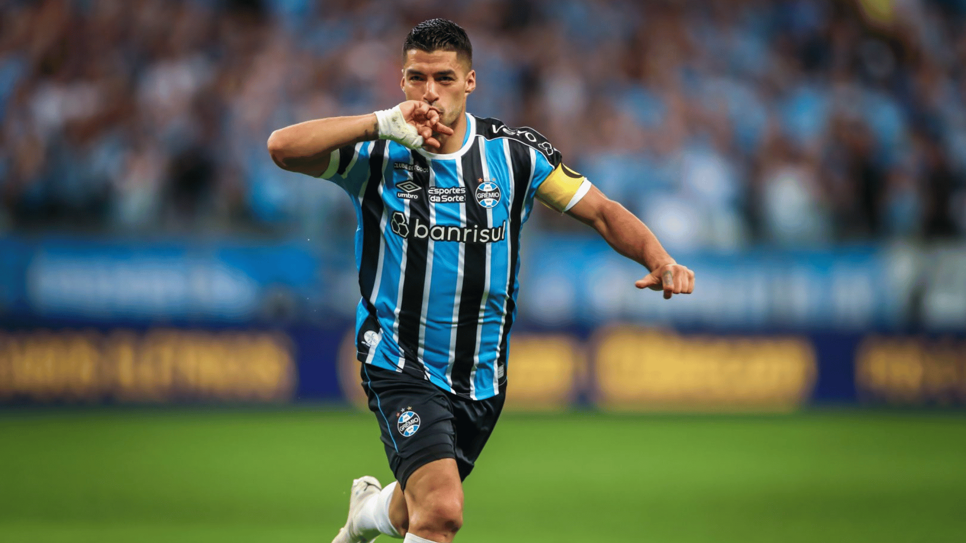 portal plural suarez