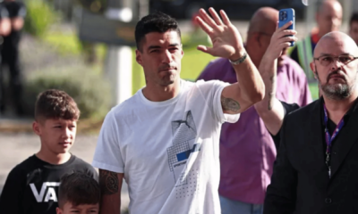 portal plural suarez