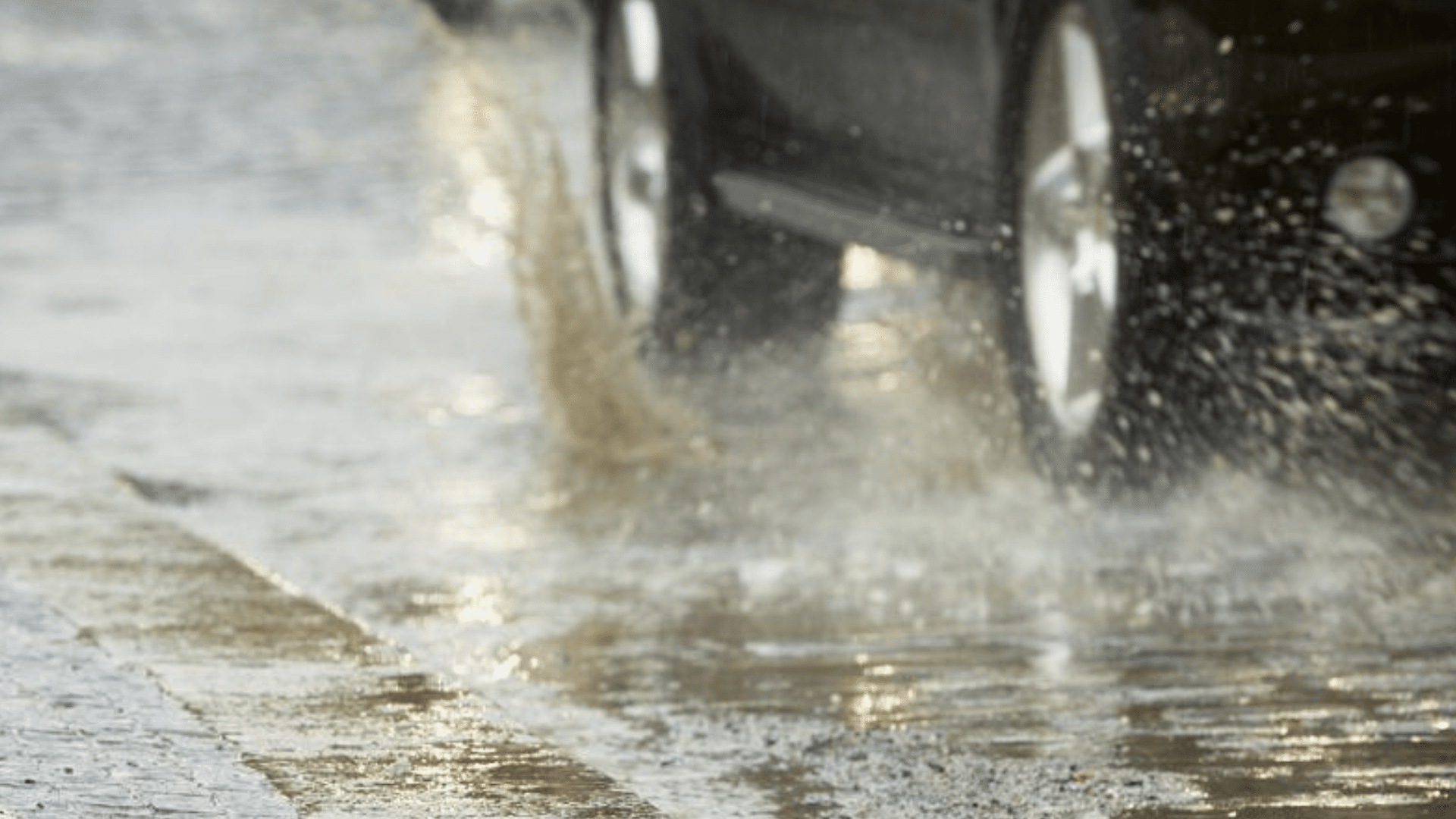 portal plural temporais