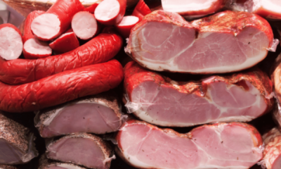 portal plural toffol (1)